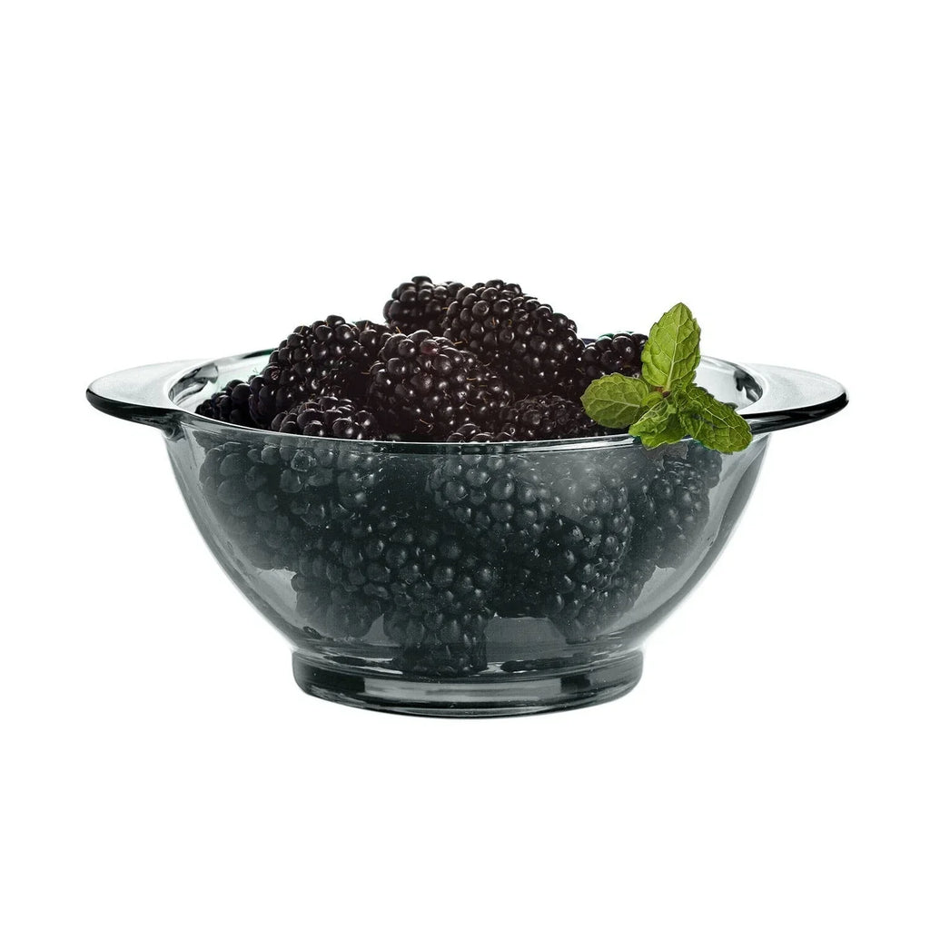 [SET OF 4] 15 oz Gray Borosilicate Glass Bowls, Cereal Bowl Soup Bowl Salad Bowl
